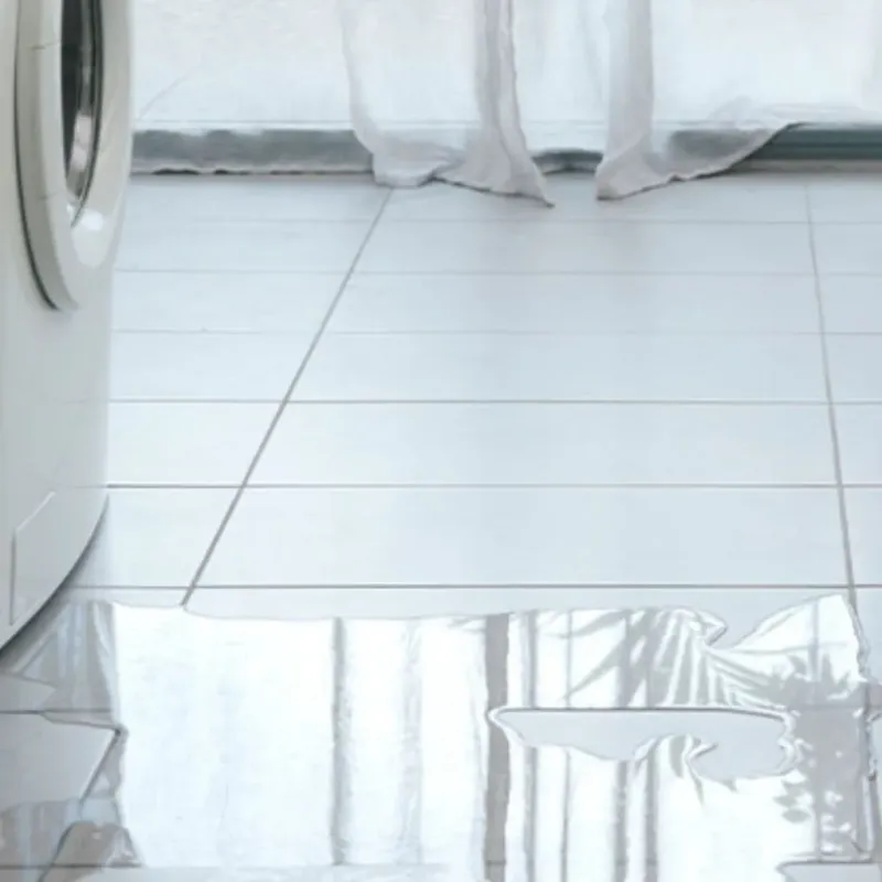 Appliance Leak Cleanup in Hernando County, FL