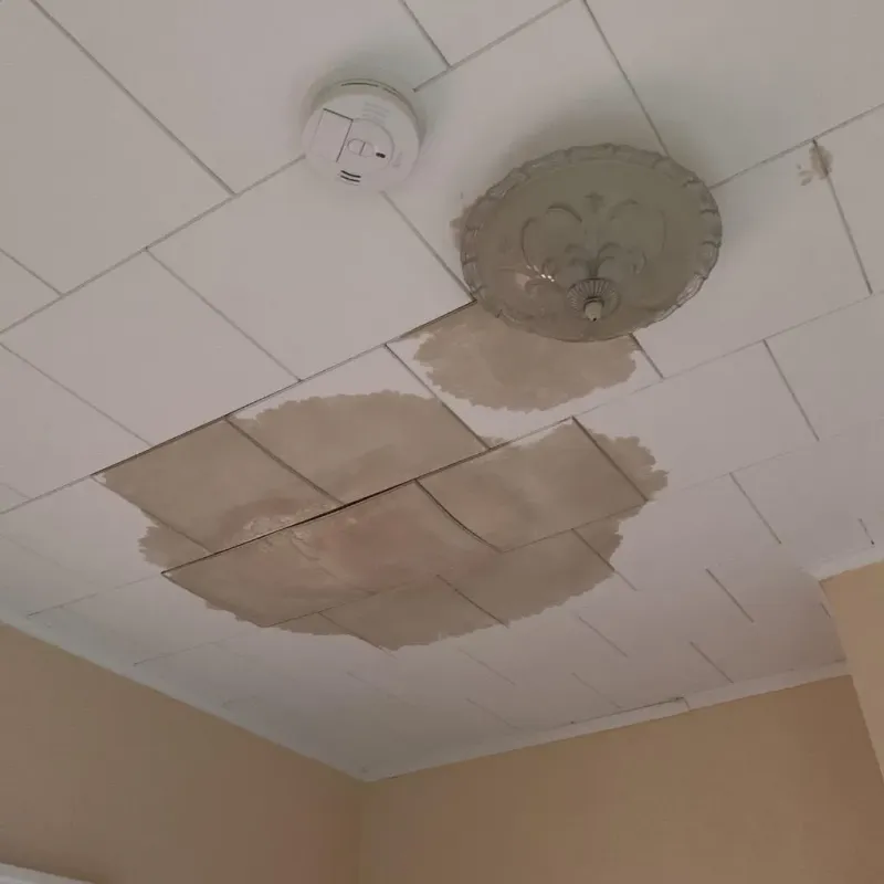 Ceiling Water Damage Repair in Hernando County, FL